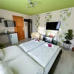 éjjelibagoly Szentes