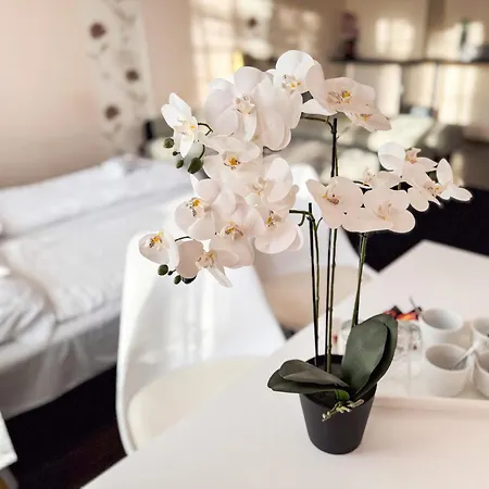 Ejjelibagoly Vendeghaz Πανσιόν Szentes