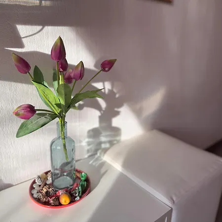 Ejjelibagoly Vendeghaz Guest house 3*