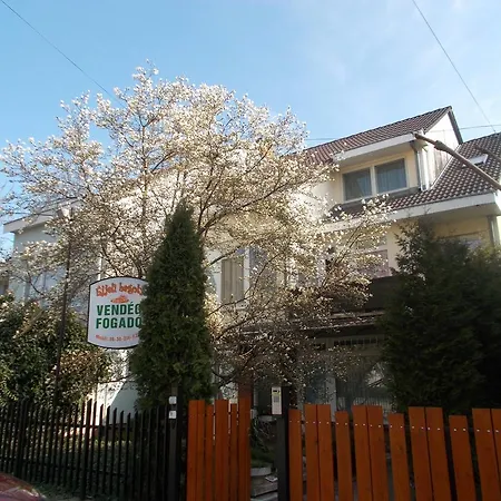 Vendégház éjjelibagoly
