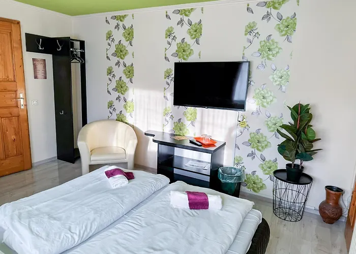 Ejjelibagoly Vendeghaz Сентеш